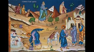Treated With Mercy: Gospel & Vespers For 15th Sunday Per Anno