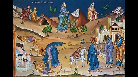 Treated With Mercy: Gospel & Vespers For 15th Sunday Per Anno