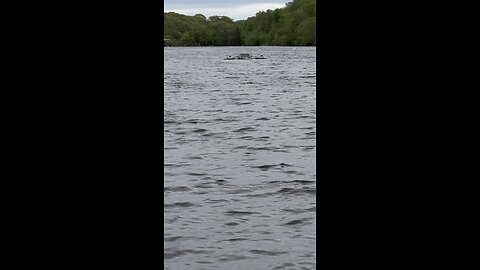 Floating solar panels