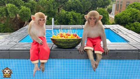 YiYi and YinYin's Happy Day
