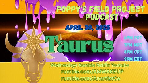 04/30/2025 Poppy's Field Project