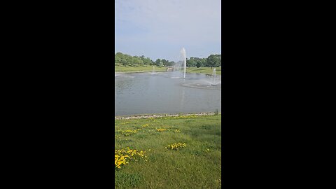 My Peaceful Place - How Thick is a Shadow?