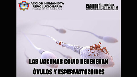 12-06-2025 LAS VACUNAS COVID DEGENERAN ÓVULOS Y ESPERMATOZOIDES