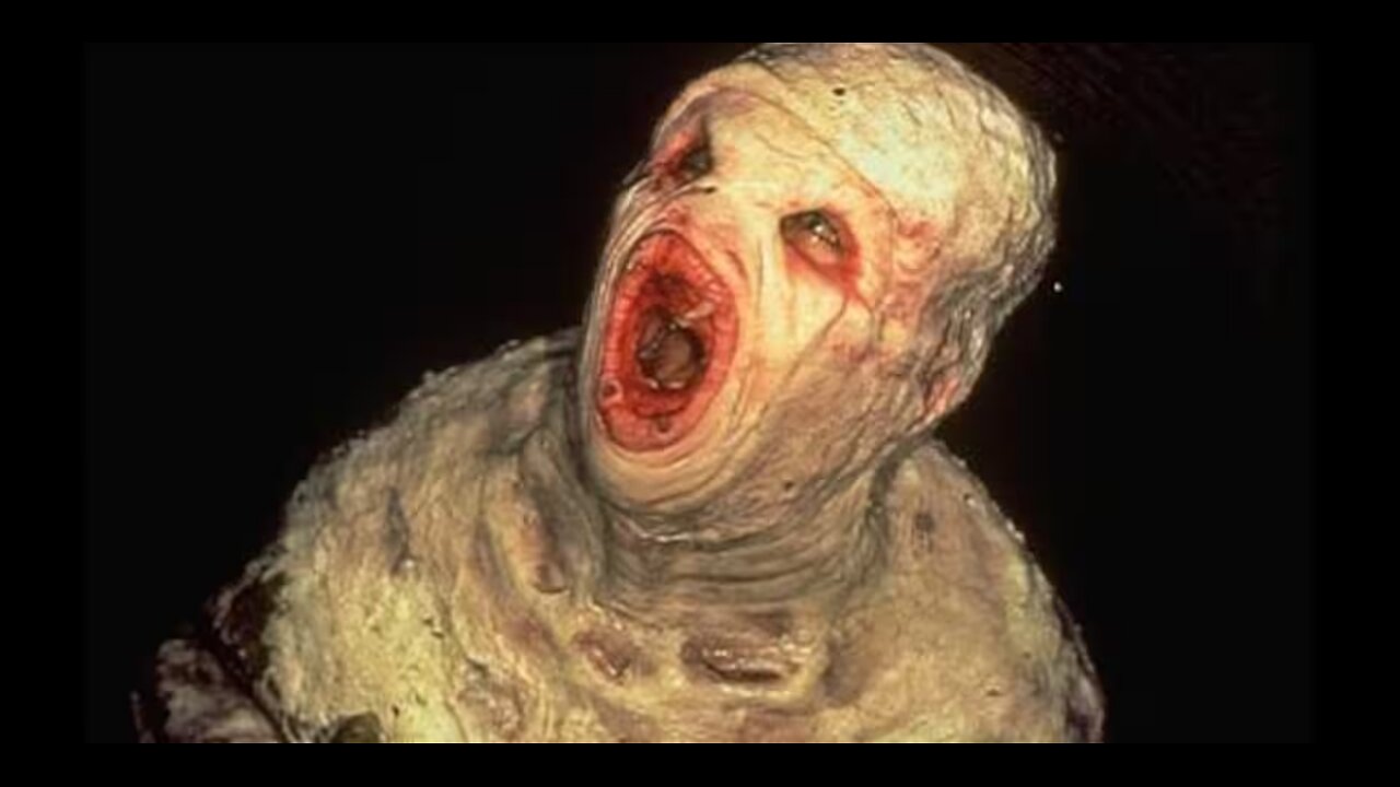 1994 X-Files Fox Network TV Series Fluke Man Episode "The Host"