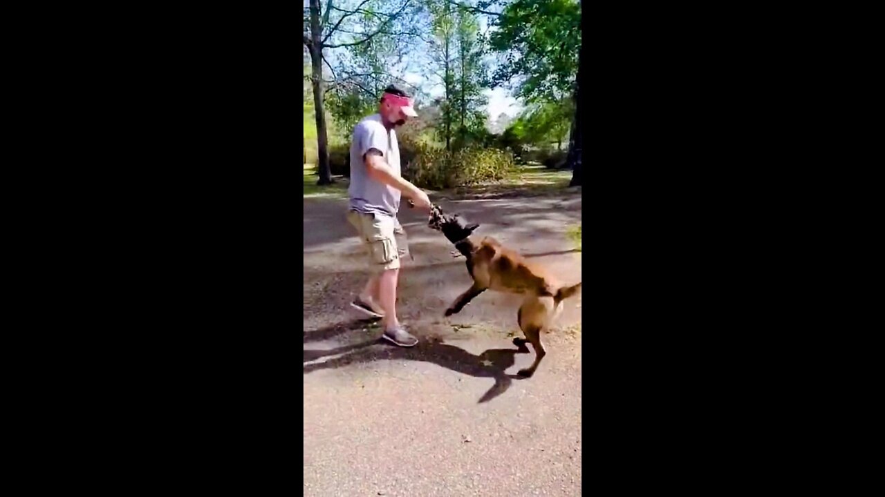 Goonies and Malinois Just Nuts!