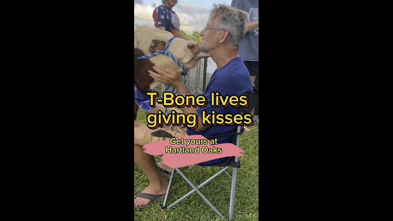 Visit Hartland Oaks and get some free cow kisses!!