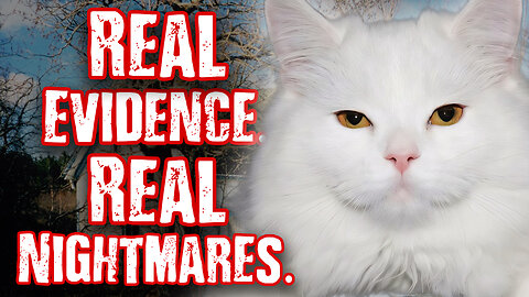 5 Most BIZARRE Clues Behind Real-Life Horror Stories