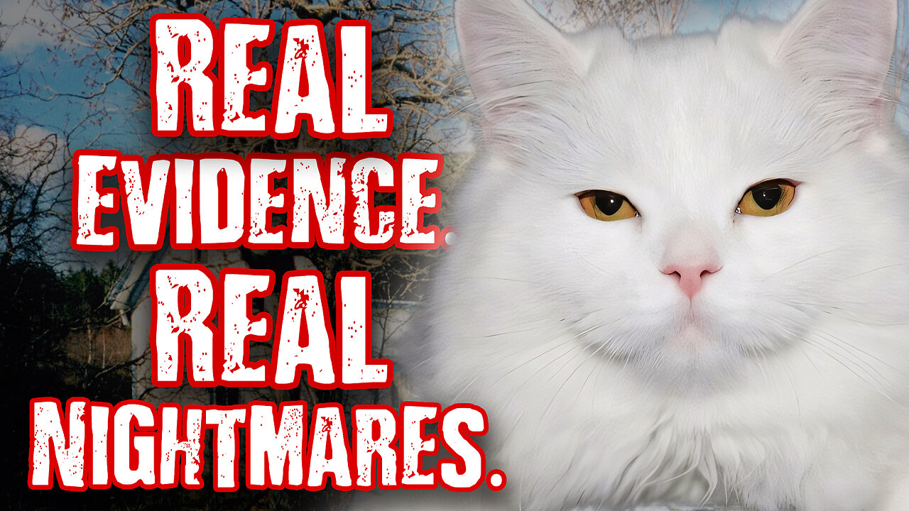 5 Most BIZARRE Clues Behind Real-Life Horror Stories
