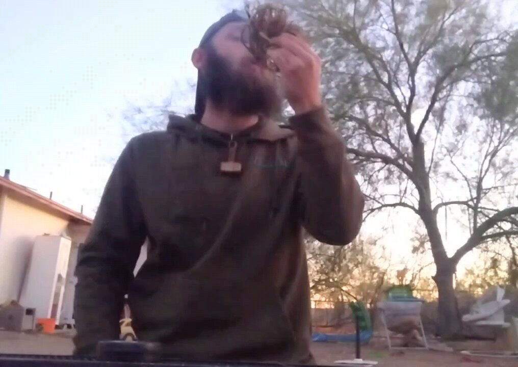 Spark becomes a flame. Flame becomes a fire