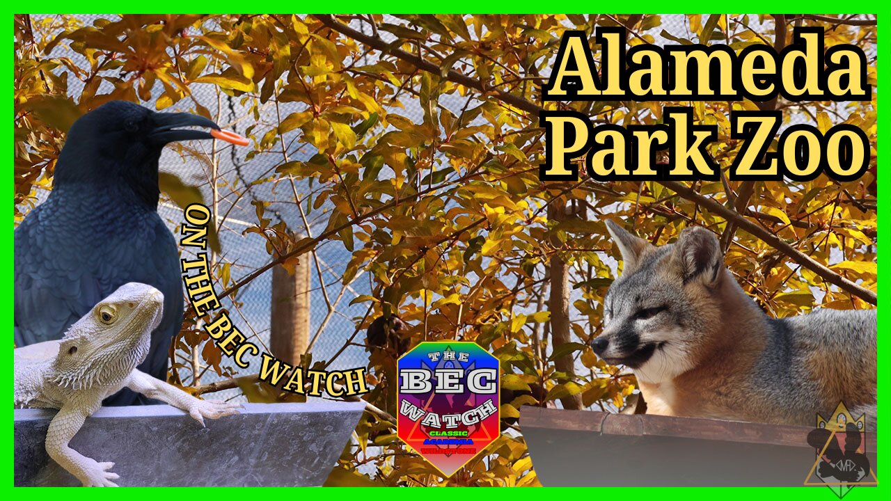 BEC Watch Entries: #40 Alameda Park Zoo