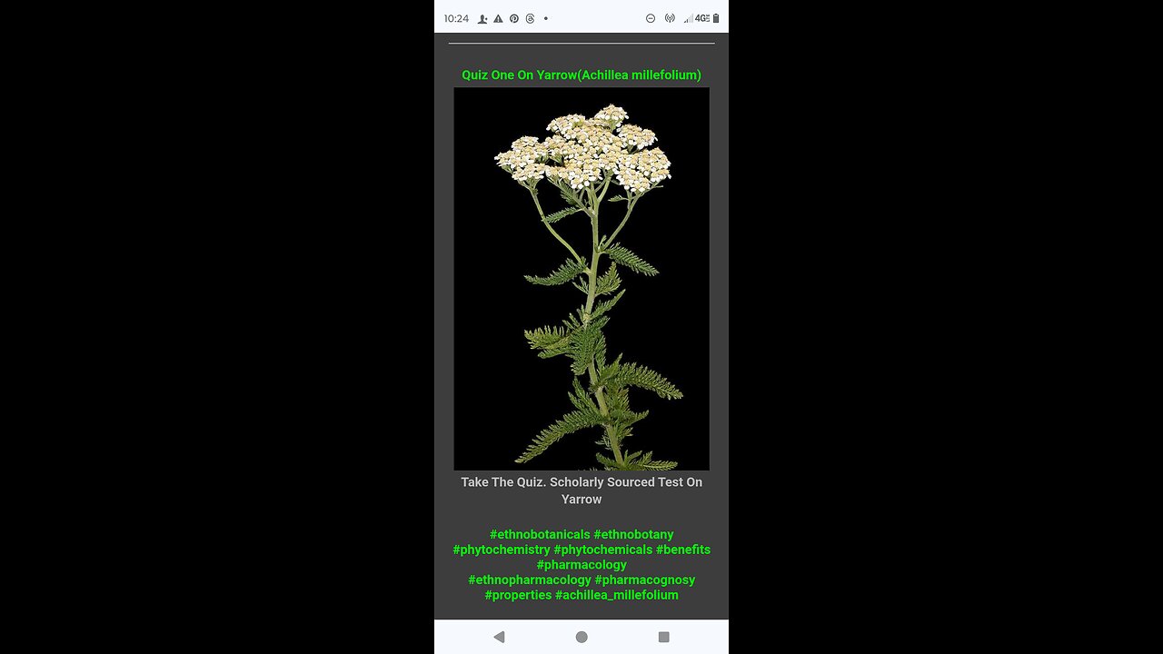 Quiz One on Yarrow (Achillea millifolium)