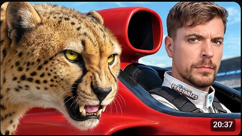 World's Fastest Car Vs Cheetah!