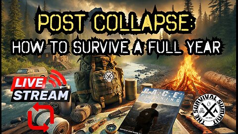 Post Collapse: How to Survive a Full Year