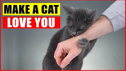 10 Scientific Ways to Get a Cat to Like You.charm your cat.