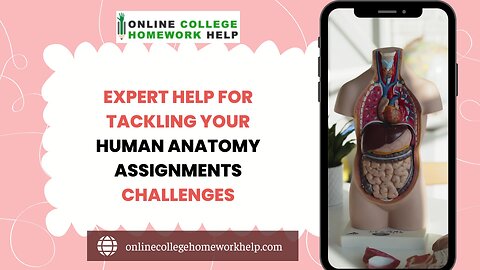 Building Strong Foundations in Human Anatomy With Our Assignment Help