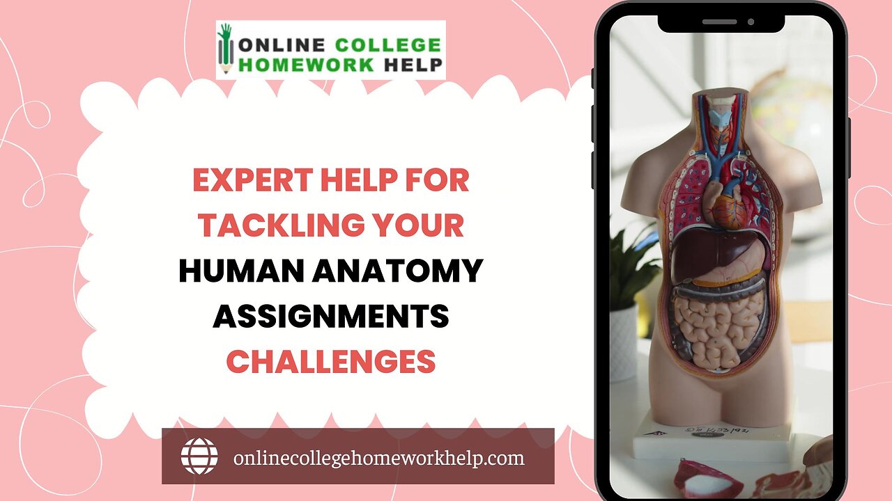 Building Strong Foundations in Human Anatomy With Our Assignment Help