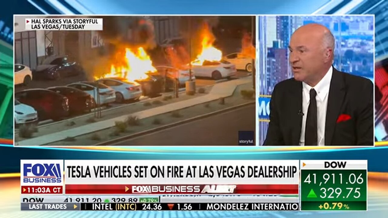 O'Leary scorches Tesla vandals: 'I'd like to see them in prison as terrorists'