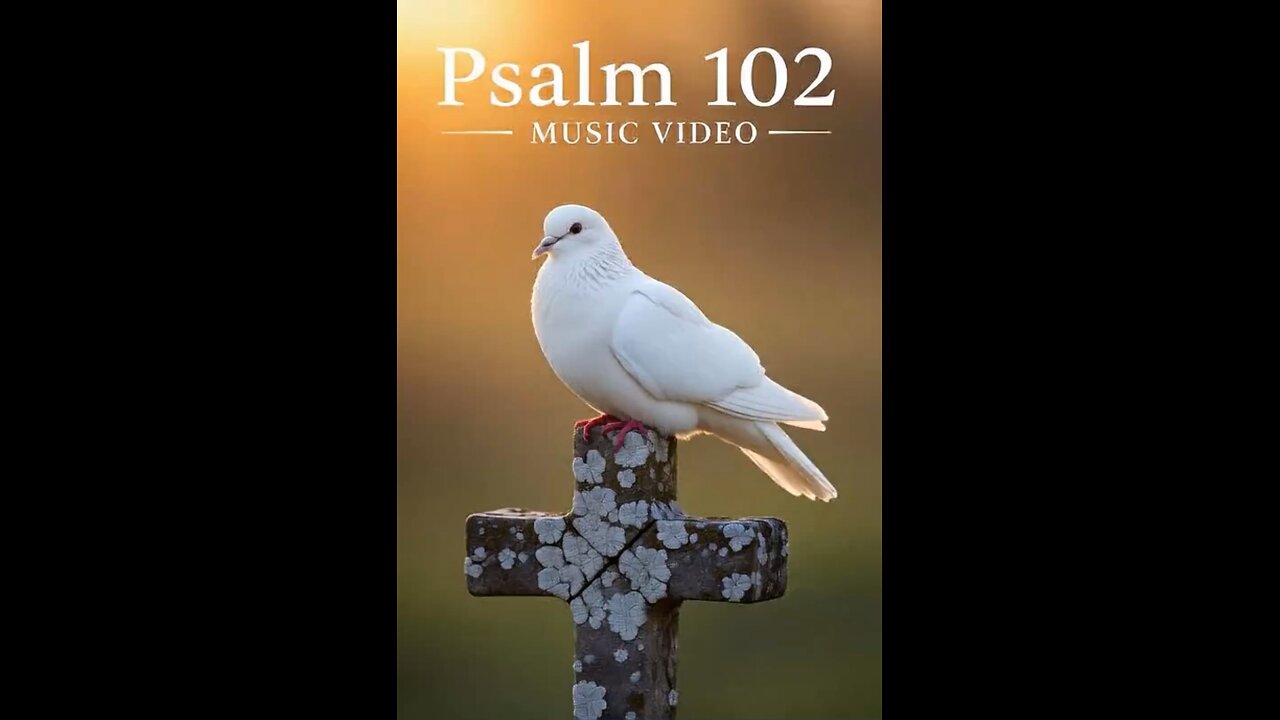 Psalm 102 (Official Music Video)