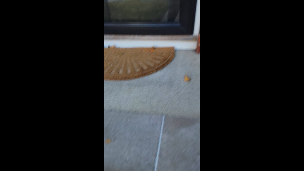 10-23 Dog friend Bosco