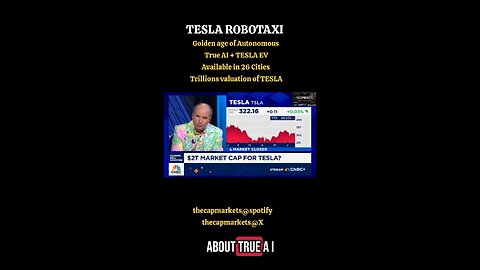 TESLA ROBOTAXI