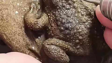 💡✨ A Clever Hack You'll Wish You Knew Sooner | LifeHacksDaily