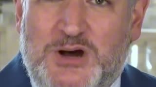 Cruz dismantles Dems' 'racist' photo ID argument