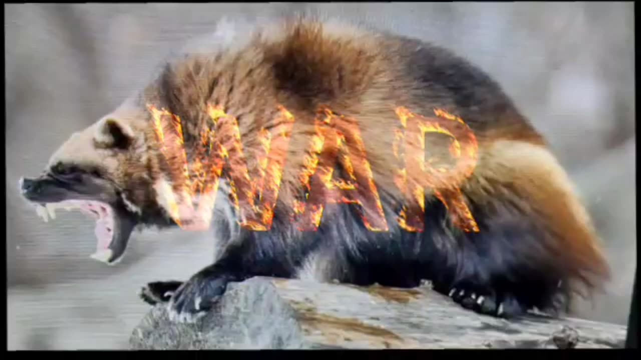 WAR & THE FUTURE- THUGGEE OG REVISED