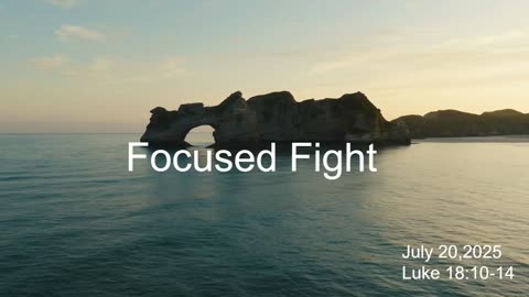 Focused Fight