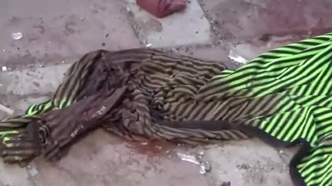 🔍 Ukrainian Agony: Der verschwiegenen Krieg enthüllt! 📽️