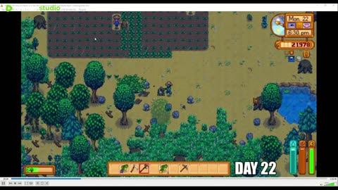 LIVE I Played 100 days of Stardew Valley