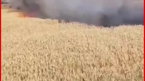 Shravasti: Fire Destroys Several Acres of Wheat Crop in Bantihawa Village