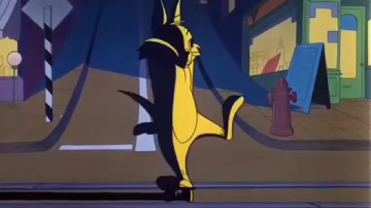 Tom and Jerry cat and mouse funny video