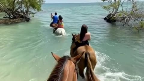 Riding Horses through river