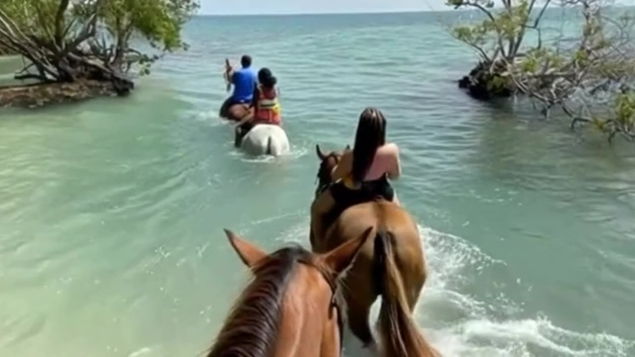 Riding Horses through river