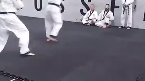 Hapkido