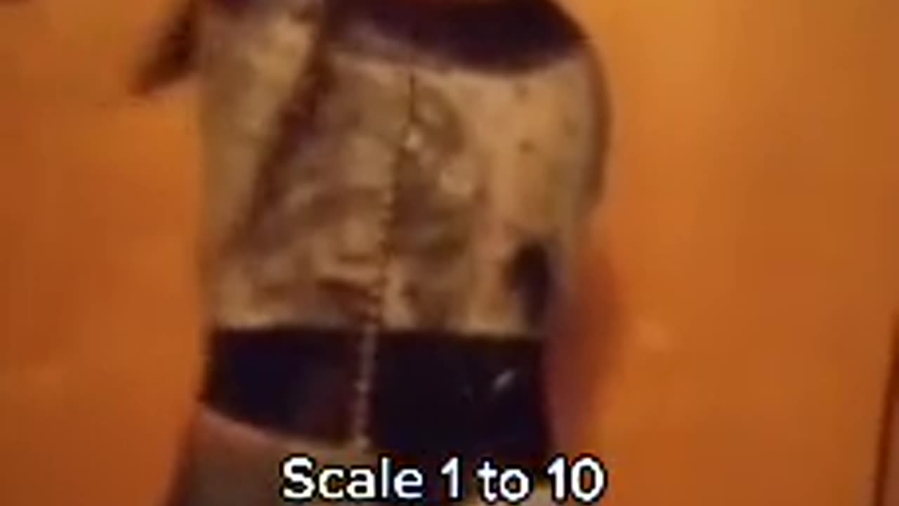 😱👻 Horrifying Mystery in New York! | TheHauntingHour