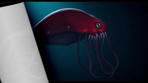 Why Stygiomedusa gigantea Is the Largest and Most Mysterious Jellyfish on Earth