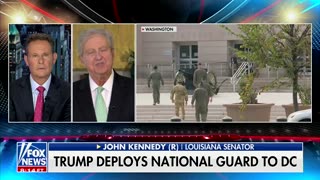 John Kennedy Skewers 'Tofu Mob' With 'NPR Tote Bags' For Opposing Federal Help In DC