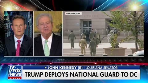 John Kennedy Skewers 'Tofu Mob' With 'NPR Tote Bags' For Opposing Federal Help In DC