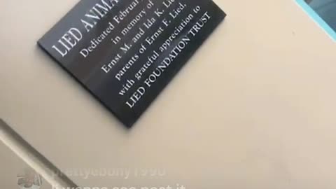 SAVANNA MARIA GARCIA REPORTS MADAM LO DOGS TO ANIMAL CONTROL WITH HER NEW ADDRESS