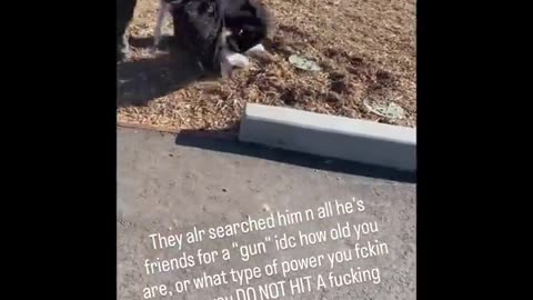 Teenager repeatedly punched in head by Southern California deputy