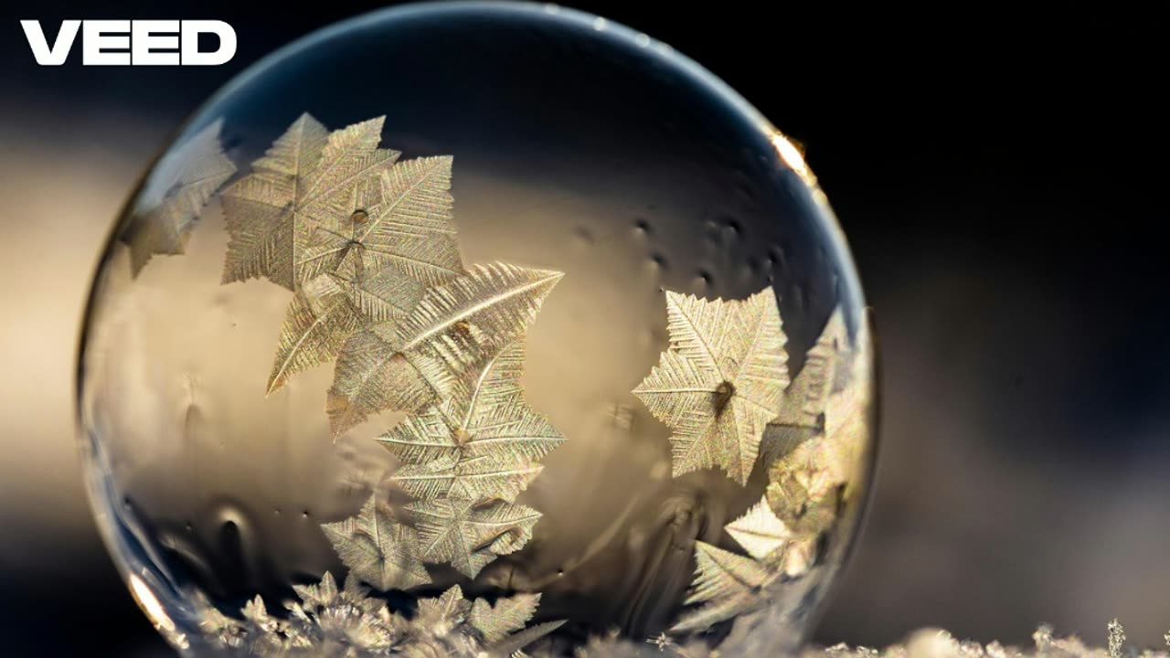 Don Enrique's Beliefs