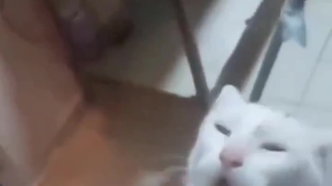 bro lied on his resume. 😹😅