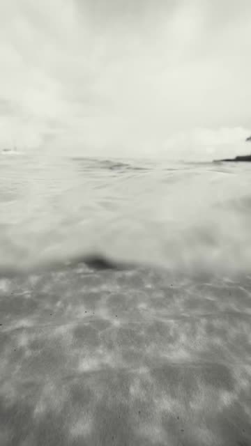 The Most Relaxing Thing You Will See All Day!!! Sea Turtle In Nature