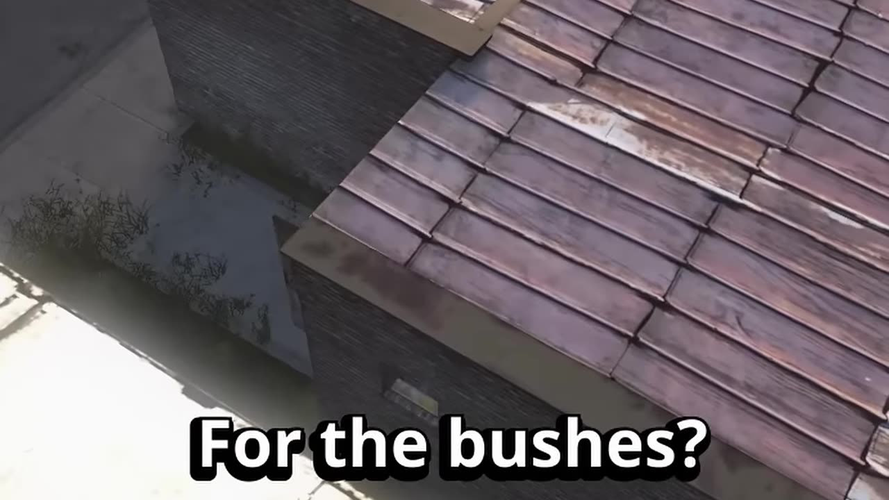 DayZ Official Hardcore Parkour #dayz