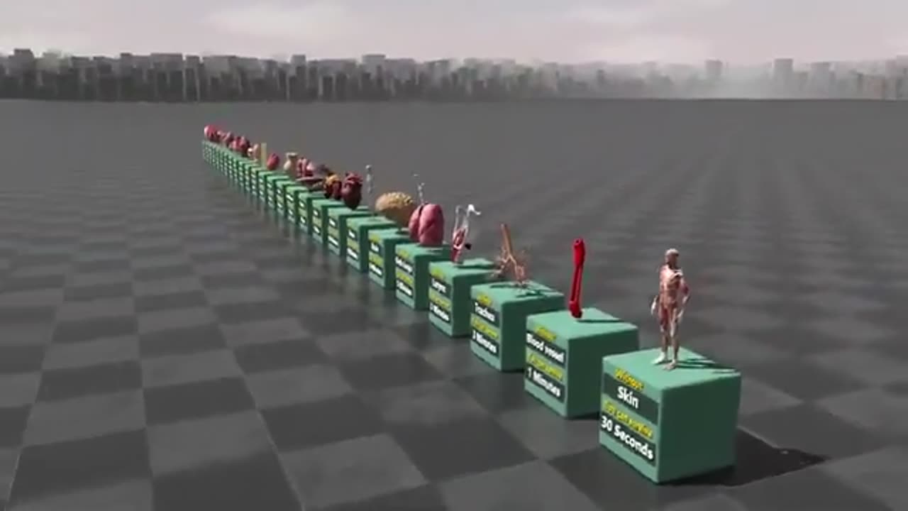 How long can you survive without organs