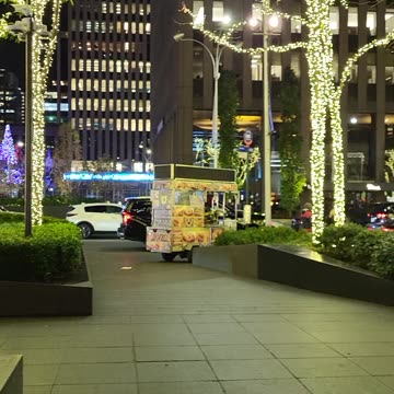 Christmas Winter Holiday Season a