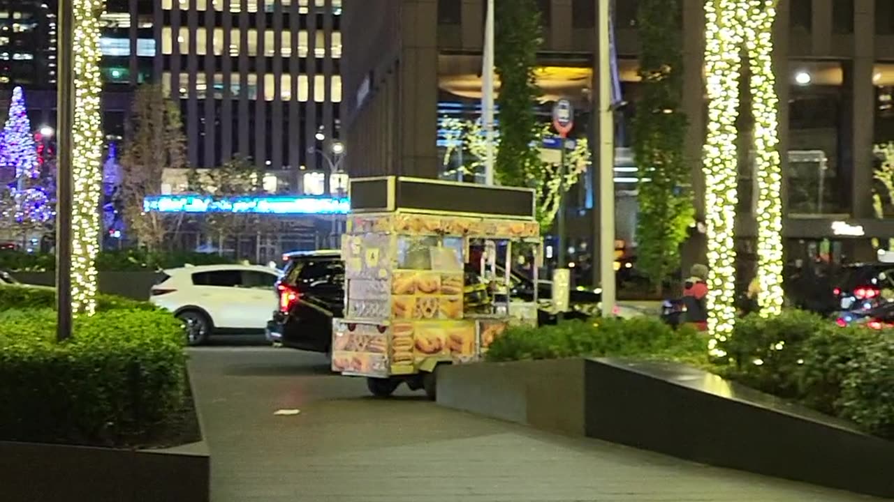 Christmas Winter Holiday Season a