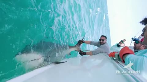 Strongest Men VS Record Size Shark_part6
