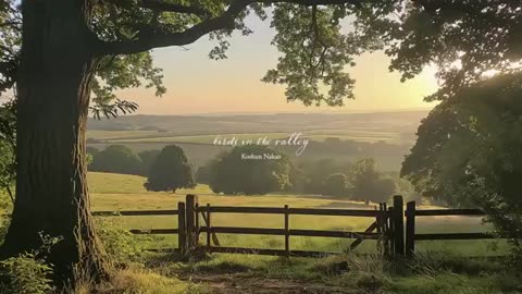 a playlist for living in the countryside